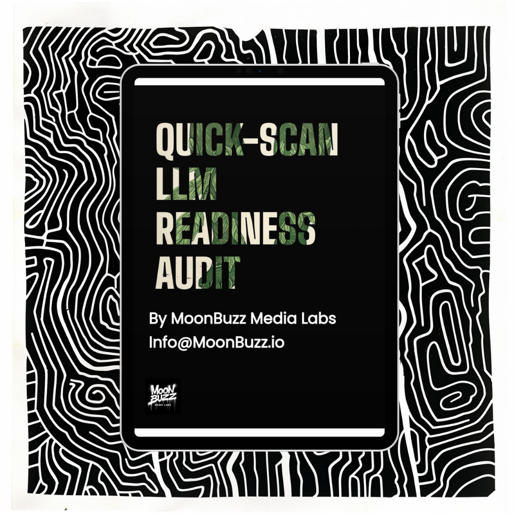 Quick-Scan LLM Readiness Audit